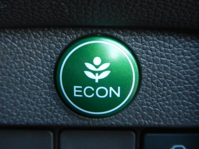 Ｎ－ＯＮＥ スタンダード・Ｌ　ディスプレイオーディオ　バックモニター　ドラレコ（16枚目）