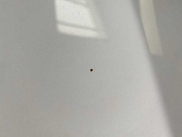 ヤリス Ｇ　純正８インチディスプレイオーディオ・全周囲カメラ・前方ドラレコ・ＥＴＣ・Ｂｌｕｅｔｏｏｔｈ接続・ＵＳＢ・トヨタセーフティセンス・スペアキー・オートライト・ブラインドスポットモニター（58枚目）