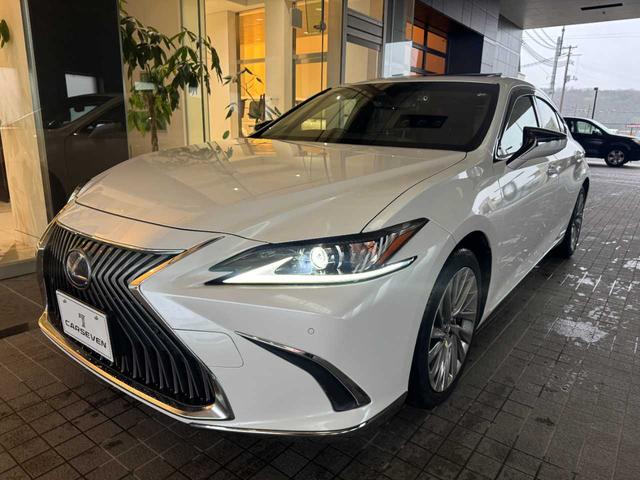 �S���ւ̓o�^�A�[�Ԃ��o���L�x�ȃX�^�b�t���Ή��v���܂��I������p�A�����n�o�^���X�A���s���_�͂��C�y�ɂ��₢���킹���������I