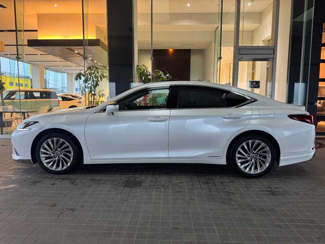 ������E�����̍�����{���ł������܂��I�܂��͖�������������p���������I�����X�S��肨�҂����Ă���܂��I�I��