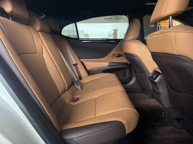 ���⍇���́A�J�[�Z�u�����킫�����������킫�s�������Ð�V�O�|�P���c���T���j����x���s�d�k�O�P�Q�O�|�X�P�O�|�V�P�W