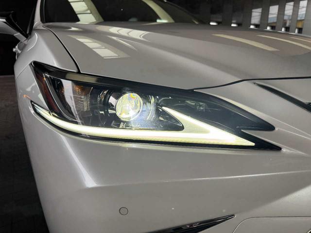 �t�����g�k�d�c�w�b�h���C�g