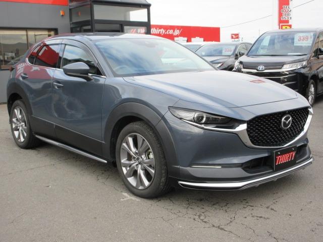 CX-30 XD プロアクティブ ツーリングセレクション 4WD アラウンドビュー 純正ナビ 純正フルスカート 電動リアゲート レーダークルーズ 前後ドラレコ パドルシフト ETC LEDヘッドライト シートヒーター ハンドルヒーター スマートキー(10枚目)