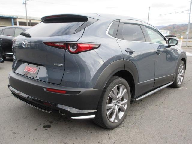 CX-30 XD プロアクティブ ツーリングセレクション 4WD アラウンドビュー 純正ナビ 純正フルスカート 電動リアゲート レーダークルーズ 前後ドラレコ パドルシフト ETC LEDヘッドライト シートヒーター ハンドルヒーター スマートキー(13枚目)