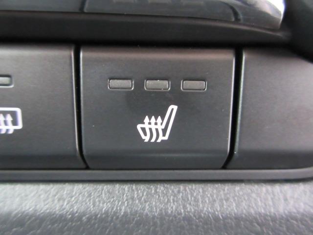 CX-30 XD プロアクティブ ツーリングセレクション 4WD アラウンドビュー 純正ナビ 純正フルスカート 電動リアゲート レーダークルーズ 前後ドラレコ パドルシフト ETC LEDヘッドライト シートヒーター ハンドルヒーター スマートキー(28枚目)