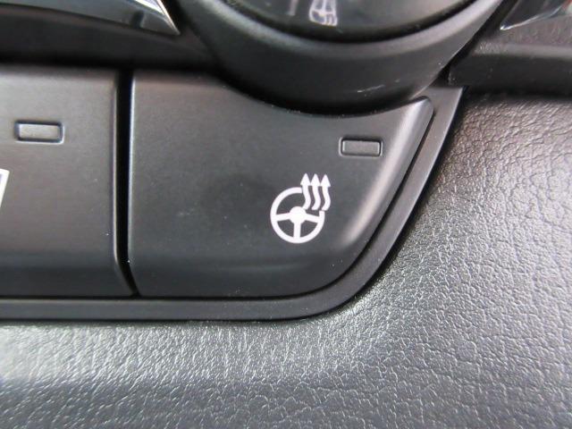 CX-30 XD プロアクティブ ツーリングセレクション 4WD アラウンドビュー 純正ナビ 純正フルスカート 電動リアゲート レーダークルーズ 前後ドラレコ パドルシフト ETC LEDヘッドライト シートヒーター ハンドルヒーター スマートキー(29枚目)