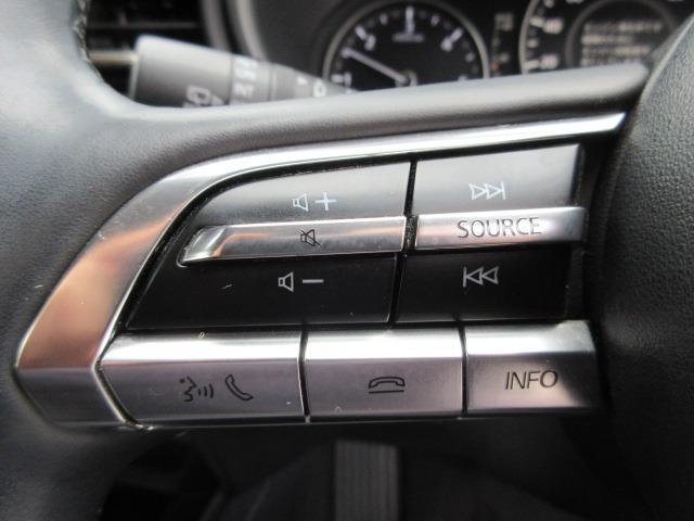 CX-30 XD プロアクティブ ツーリングセレクション 4WD アラウンドビュー 純正ナビ 純正フルスカート 電動リアゲート レーダークルーズ 前後ドラレコ パドルシフト ETC LEDヘッドライト シートヒーター ハンドルヒーター スマートキー(41枚目)