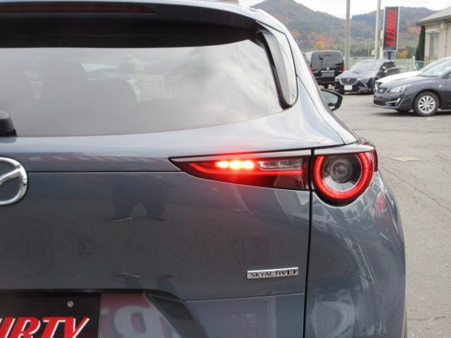 CX-30 XD プロアクティブ ツーリングセレクション 4WD アラウンドビュー 純正ナビ 純正フルスカート 電動リアゲート レーダークルーズ 前後ドラレコ パドルシフト ETC LEDヘッドライト シートヒーター ハンドルヒーター スマートキー(52枚目)