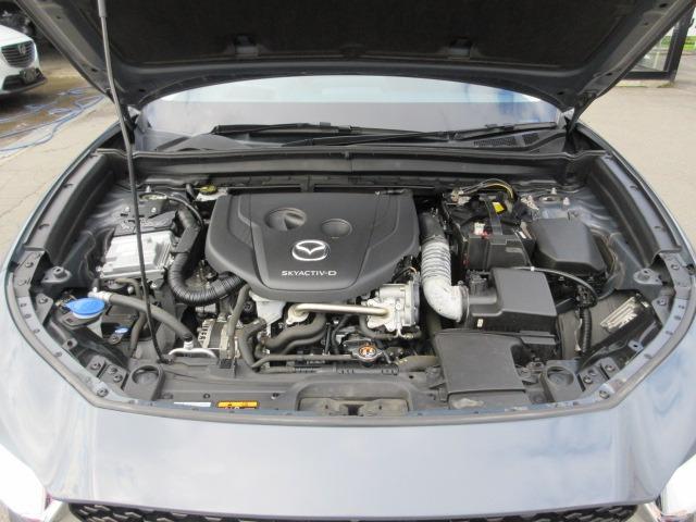 CX-30 XD プロアクティブ ツーリングセレクション 4WD アラウンドビュー 純正ナビ 純正フルスカート 電動リアゲート レーダークルーズ 前後ドラレコ パドルシフト ETC LEDヘッドライト シートヒーター ハンドルヒーター スマートキー(53枚目)