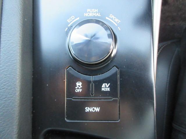 ＩＳ ＩＳ３００ｈ　ユーザー買取車　純正ナビ　Ｂカメラ　ドラレコ　クルーズコントロール　パドルシフト　シートヒーター　ハンドルヒーター　ＥＴＣ　Ｆスポーツ純正１８ＡＷ　ＬＥＤヘッドライト　前側フォグ　ハーフレザーシート（30枚目）