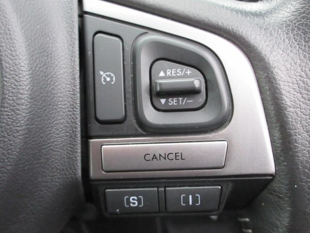 フォレスター 2.0i-L 1オーナー車 6速マニュアル アプライドD イクリプスナビ 柿本マフラー レーダークルーズ 前後シートヒーター 純正ルーフキャリア ETC LEDヘッドライト 前後フォグ 純正17AW キーレス(6枚目)