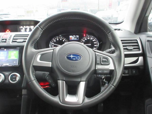 フォレスター 2.0i-L 1オーナー車 6速マニュアル アプライドD イクリプスナビ 柿本マフラー レーダークルーズ 前後シートヒーター 純正ルーフキャリア ETC LEDヘッドライト 前後フォグ 純正17AW キーレス(17枚目)