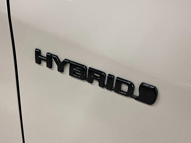 ノア ハイブリッドG 全塗装/ナチュラルベージュM ブラック塗装 モンツァジャパン新品AW マッドスターA/T新品タイヤ TOYOTAエンブレム 両側パワスラ フリップダウンモニター 純正ナビ バックカメラ シートヒーター(32枚目)