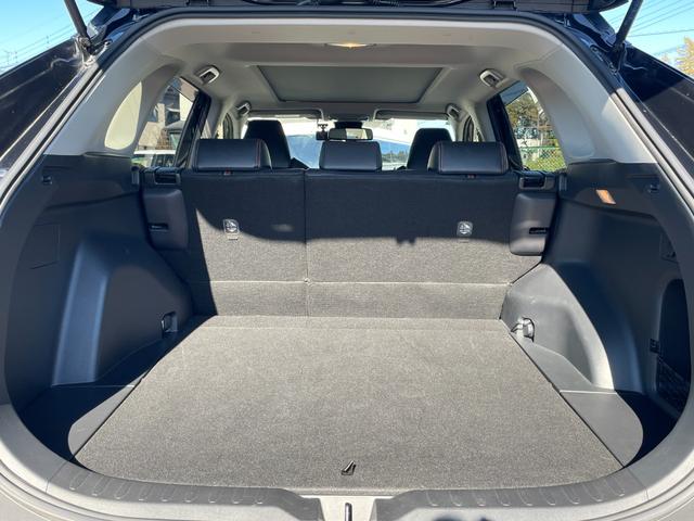 ＲＡＶ４ アドベンチャー（17枚目）