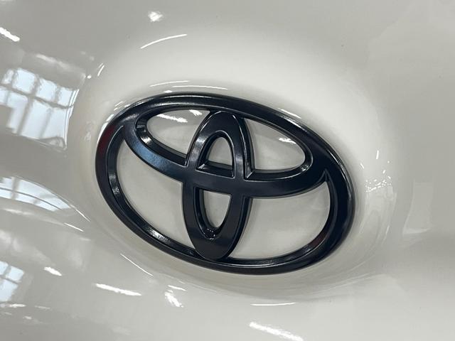 タウンエースバン ＧＬ　１４ＡＷ　デザートテック　ＤＤ－９　マキシス　バックショット　ＭＧＲベッドキット　グレイス　クラシックシートカバー　茶木目インテリアパネル　アルミ製ルーフラックＲ１４　ＬＥＤヘッドライト　寒冷地仕様（29枚目）