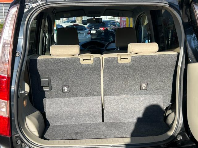 ステラ Ｌ（7枚目）