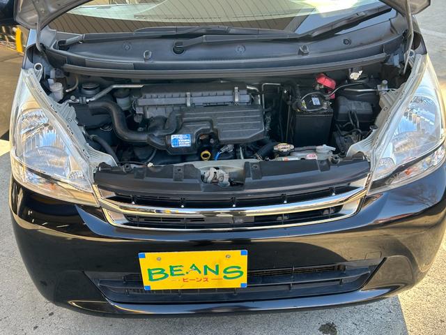 ステラ Ｌ（15枚目）