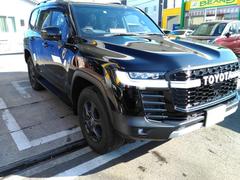 ���ɥ��롼���� �ǣҥ��ݡ��ġ��ǥ������륿���ܡ�����롼���դ����ֹ�����ӥ����� 0900124A30240404W002 2