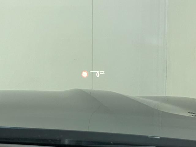 Ｘ７ ｘＤｒｉｖｅ　３５ｄ　Ｍスポーツ　７人乗り　リアエンターテイメント　Ｂ＆Ｗダイヤモンドサラウンド　モカレザー　スカイラウンジサンルーフ　保冷保温カップホルダー　ヒートコンフォートパッケージ　エグゼクティブドライブプロ（34枚目）