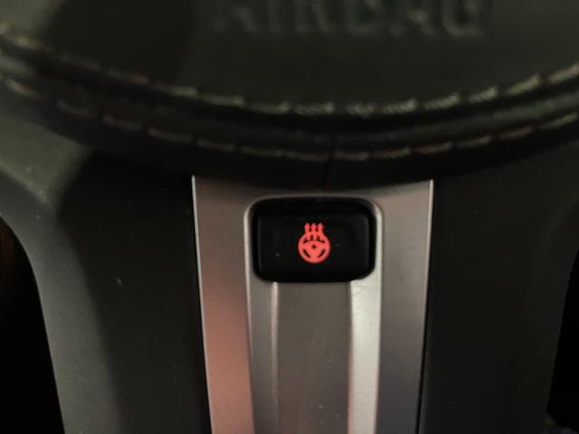 Ｘ７ ｘＤｒｉｖｅ　３５ｄ　Ｍスポーツ　７人乗り　リアエンターテイメント　Ｂ＆Ｗダイヤモンドサラウンド　モカレザー　スカイラウンジサンルーフ　保冷保温カップホルダー　ヒートコンフォートパッケージ　エグゼクティブドライブプロ（42枚目）