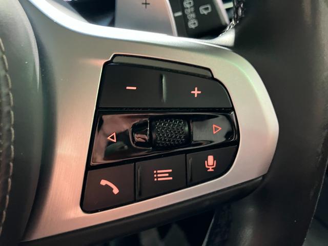 Ｘ７ ｘＤｒｉｖｅ　３５ｄ　Ｍスポーツ　７人乗り　リアエンターテイメント　Ｂ＆Ｗダイヤモンドサラウンド　モカレザー　スカイラウンジサンルーフ　保冷保温カップホルダー　ヒートコンフォートパッケージ　エグゼクティブドライブプロ（53枚目）