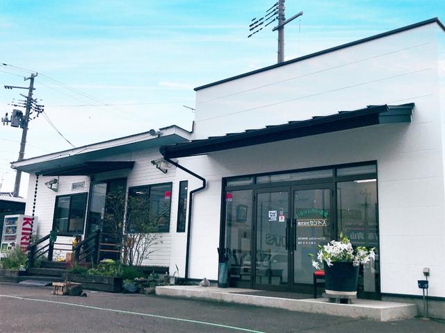 フリードハイブリッド ジャストセレクション(33枚目)