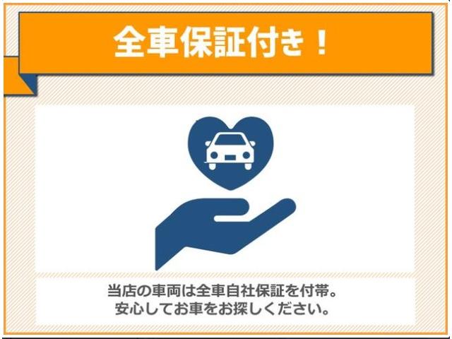 X SAIII 届出済未使用車 LEDライト(46枚目)