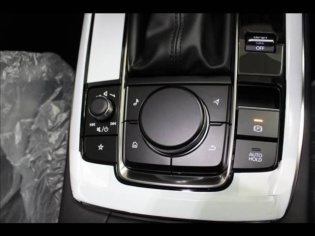 20S ブラックトーンエディション 20S BlackToneEdition 登録済未使用車 ナビTV(16枚目)