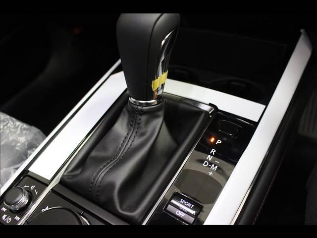 20S ブラックトーンエディション 20S BlackToneEdition 登録済未使用車 ナビTV(17枚目)