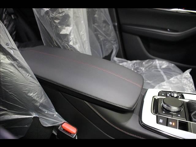 20S ブラックトーンエディション 20S BlackToneEdition 登録済未使用車 ナビTV(39枚目)