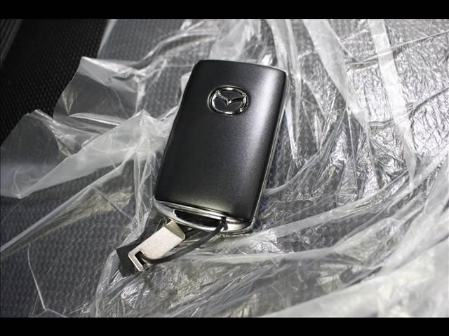 20S ブラックトーンエディション 20S BlackToneEdition 登録済未使用車 ナビTV(43枚目)