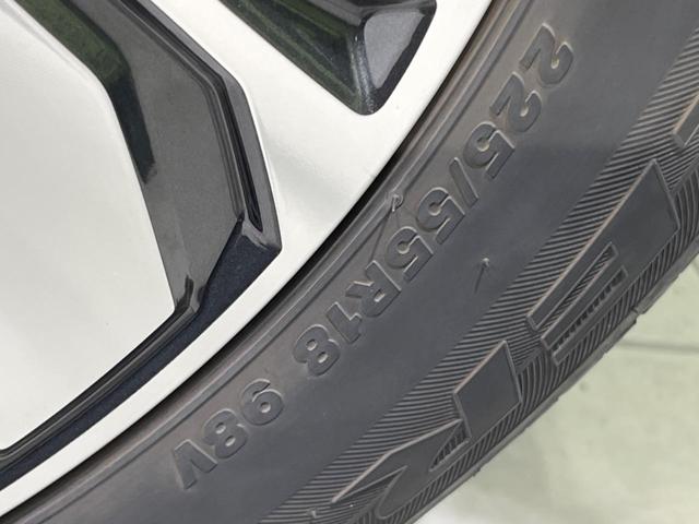 フォレスター アドバンス　４ＷＤ　ＳＤナビ　サイドカメラ　バックカメラ　衝突被害軽減システム　レーダークルーズ　電動リアゲート　レザーシート　ＬＥＤヘッド　デュアルエアコン　純正１８インチアルミ　Ｂｌｕｅｔｏｏｔｈ　ＣＤ（64枚目）