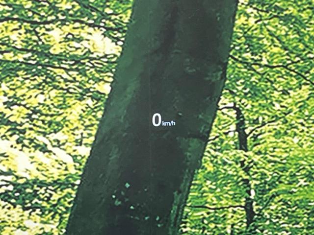 CX-5 XD プロアクティブ 4WD バックカメラ BOSEサウンド 衝突被害軽減システム レーダークルーズ 禁煙車 コーナーセンサー LEDヘッド ビルトインETC オートライト デュアルエアコン(30枚目)