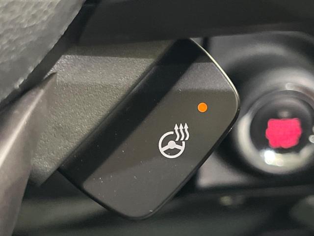 フォレスター アドバンス 純正9型ナビ バックカメラ アイサイト レーダークルーズ パワーシート シートヒーター LEDヘッド 純正18インチアルミ フルセグ Bluetooth接続 CD/DVD再生(40枚目)