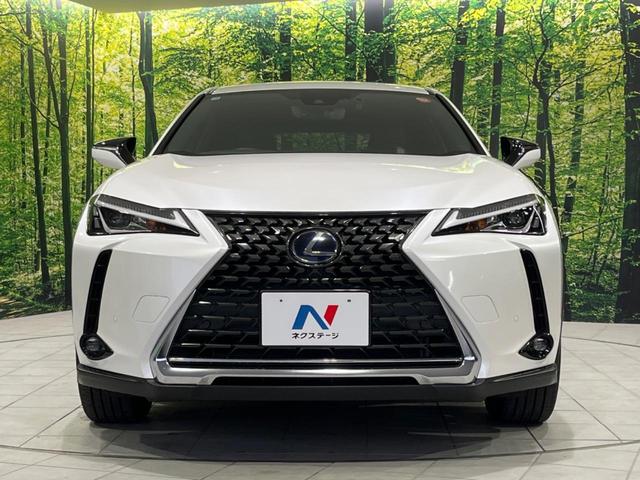 UX UX250h バージョンC 純正10.5型ナビ バックカメラ ドラレコ ETC2.0 衝突被害軽減システム AC100V電源 パワーバックドア レーダークルーズ 禁煙車 レザーシート コーナーセンサー スマートキー LEDヘッド(15枚目)