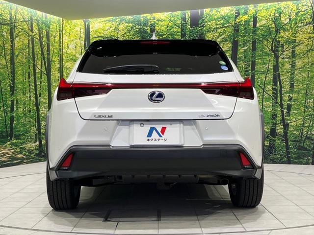 UX UX250h バージョンC 純正10.5型ナビ バックカメラ ドラレコ ETC2.0 衝突被害軽減システム AC100V電源 パワーバックドア レーダークルーズ 禁煙車 レザーシート コーナーセンサー スマートキー LEDヘッド(16枚目)