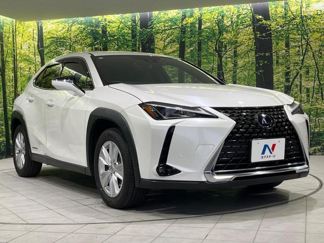 UX UX250h バージョンC 純正10.5型ナビ バックカメラ ドラレコ ETC2.0 衝突被害軽減システム AC100V電源 パワーバックドア レーダークルーズ 禁煙車 レザーシート コーナーセンサー スマートキー LEDヘッド(17枚目)