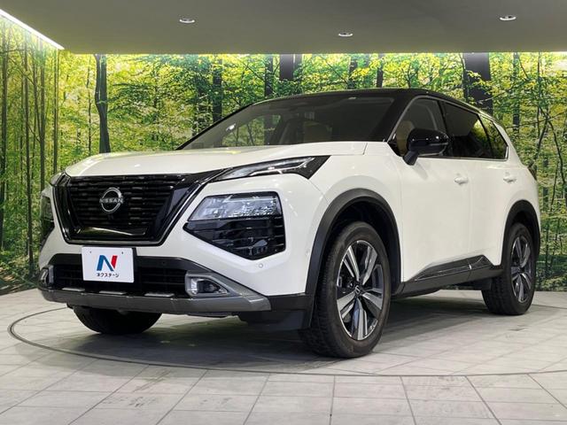 エクストレイル Ｇ　ｅ－４ＯＲＣＥ　純正１２．３型ナビ　全周囲カメラ　プロパイロット　衝突被害軽減システム　禁煙車　デジタルインナーミラー　電動リアゲート　レザーシート　コーナーセンサー　スマートキー　ＬＥＤヘッド　ビルトインＥＴＣ（24枚目）