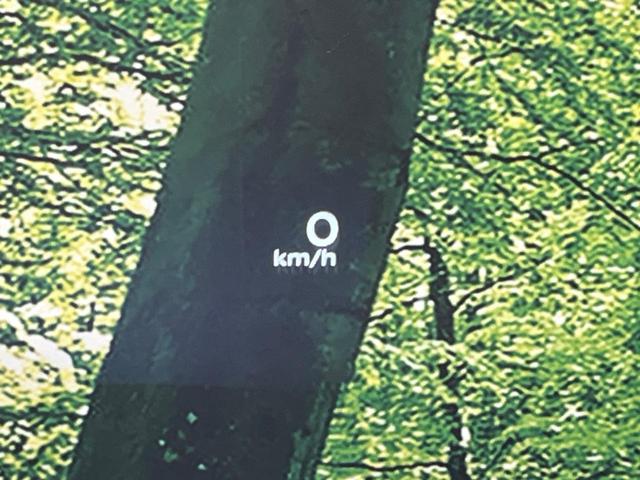 エクストレイル Ｇ　ｅ－４ＯＲＣＥ　純正１２．３型ナビ　全周囲カメラ　プロパイロット　衝突被害軽減システム　禁煙車　デジタルインナーミラー　電動リアゲート　レザーシート　コーナーセンサー　スマートキー　ＬＥＤヘッド　ビルトインＥＴＣ（38枚目）