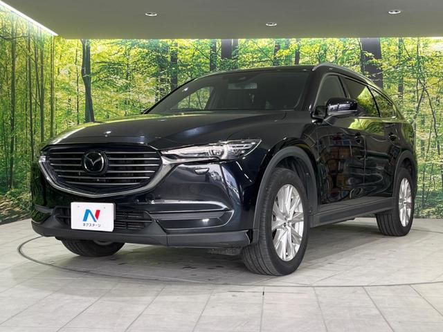 ＣＸ－８ ＸＤプロアクティブ　純正ナビ　全周囲カメラ　７人乗り　衝突被害軽減システム　レーダークルーズ　ターボ　禁煙車　電動リアゲート　ブラインドスポットモニター　パワーシート　スマートキー　ＬＥＤヘッド　ＥＴＣ（28枚目）