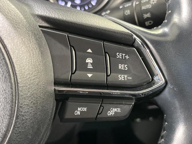 ＣＸ－８ ＸＤプロアクティブ　純正ナビ　全周囲カメラ　７人乗り　衝突被害軽減システム　レーダークルーズ　ターボ　禁煙車　電動リアゲート　ブラインドスポットモニター　パワーシート　スマートキー　ＬＥＤヘッド　ＥＴＣ（50枚目）