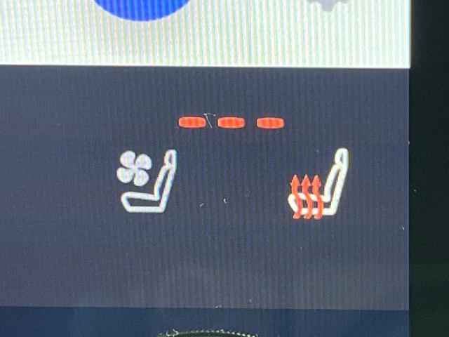 アルファード Z ムーンルーフ 両側電動スライド 14型ディスプレイオーディオ 全周囲カメラ デジタルインナーミラー シートエアコン ヘッドアップディスプレイ ブラインドスポットモニター(30枚目)