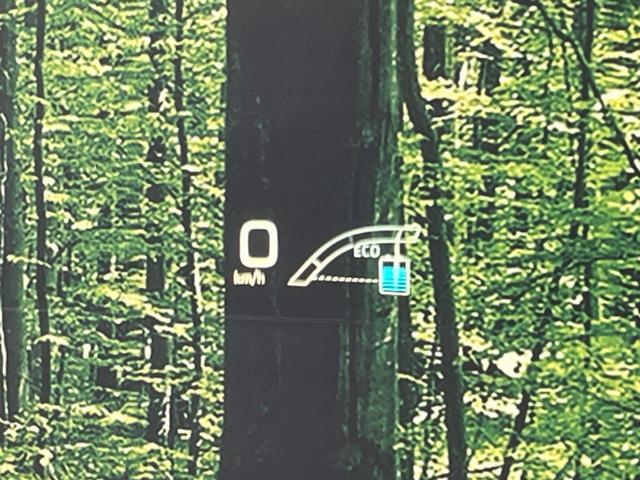 プリウス A 4wd 純正SDナビ バックカメラ ドラレコ 禁煙車 ビルトインETC レーダークルーズ コーナーセンサー スマートキー LEDヘッド オートハイビーム オートライト オートエアコン(47枚目)