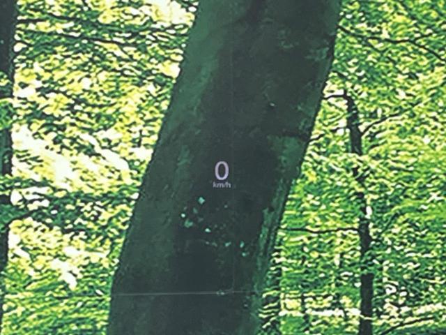 MX-30 ベースグレード 4WD 全周囲カメラ 衝突被害軽減システム レーダークルーズ 禁煙車 ハーフレザーシート ドラレコ コーナーセンサー スマートキー ETC オートハイビーム 車線逸脱警報 オートライト(42枚目)