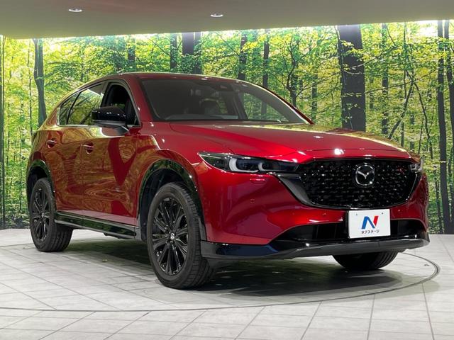 CX-5 25S スポーツアピアランス 4WD 10型ディスプレイオーディオ 全周囲カメラ 衝突被害軽減装置 レーダークルーズ 禁煙車 レザーシート ドラレコ コーナーセンサー スマートキー LEDヘッド ETC オートハイビーム(17枚目)