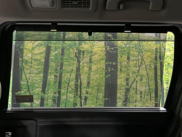 エルグランド 250ハイウェイスタープレミアム 4WD 両側電動 メーカーナビ 全周囲カメラ 禁煙車 電動リアゲート レザーシート スマートキー LEDヘッド ビルトインETC クルコン 純正18インチAW オートライト デュアルエアコン(41枚目)