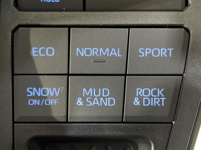 ＲＡＶ４ Ｇ　４ＷＤ　ＢＩＧ－Ｘ９型ナビ　バックカメラ　セーフティセンス　レーダークルーズ　禁煙車　電動リアゲート　パワーシート　ドラレコ　コーナーセンサー　スマートキー　ＬＥＤヘッド　ビルトインＥＴＣ（35枚目）