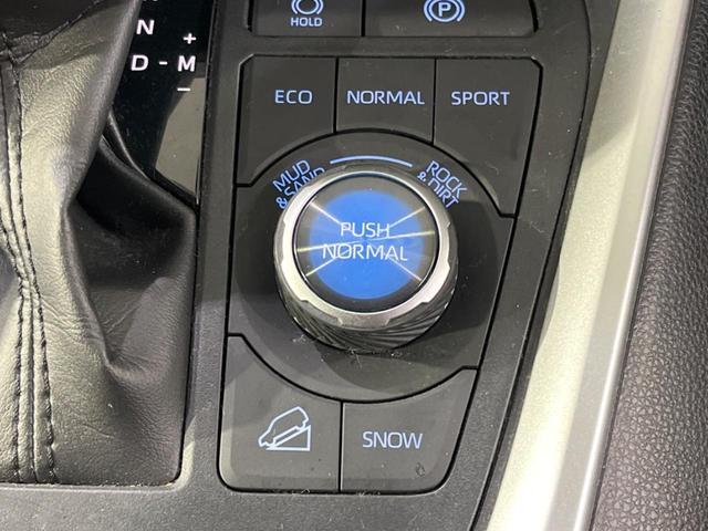 RAV4 アドベンチャー 4WD 全周囲カメラ 純正9型ディスプレイオーディオ 衝突被害軽減 レーダークルーズ 禁煙車 電動リアゲート ドラレコ コーナーセンサー スマートキー LEDヘッド ルーフレール ETC2.0(41枚目)