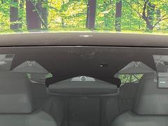 ڥȥեƥץ饹֥ۡꥢӡǥƥס֥ϥӡॢȡס֥եȡɥӥ塼˥פˤѤ򸺤餷ʥɥ饤֤ٱ礷Ƥ¿ΣǤ 5