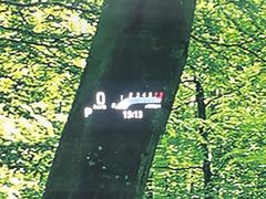 ڥ顼إåɥåץǥץ쥤۸ߤ®٤ԾǥɽǱžΥ饹ơ顼դǻǧ⤯ž򤺤餵ɬפʾǧǤΤǤȤäƤǰ¿ 7